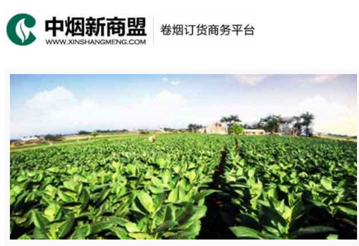 中烟新商盟卷烟订货商务平台- ■澳门十大棋牌排行榜最新■
